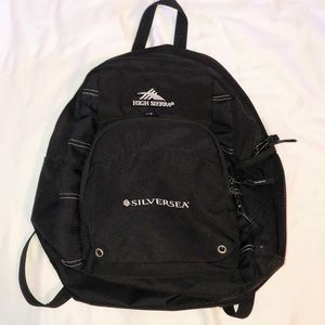 High Sierra Silversea Backpack